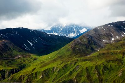 Alaska-Tundra, Denali-Nationalpark, Alaska von Unbekannt Unbekannt